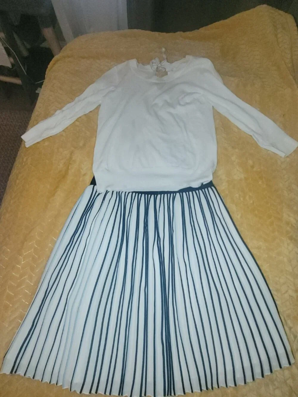 Jcrew pleaded skirt and top